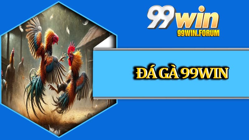 Đá Gà 99win Cùng Các Kèo Cược Hấp Dẫn Không Thể Bỏ Lỡ